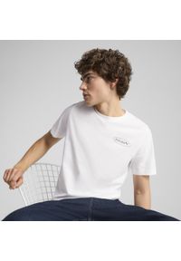 Puma - Męska koszulka Graphics 3 Circles PUMA White. Kolor: biały. Materiał: guma. Wzór: nadruk