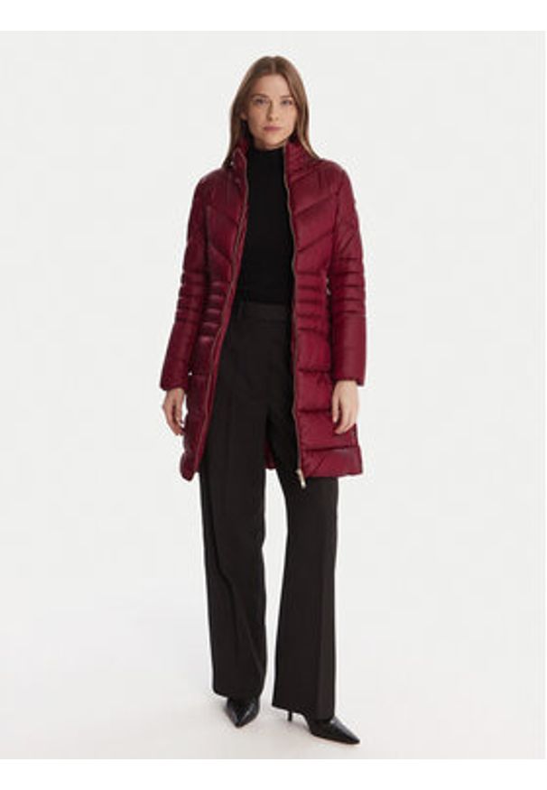 Artigli Kurtka zimowa ACPM002931 Bordowy Regular Fit. Kolor: czerwony. Materiał: syntetyk. Sezon: zima