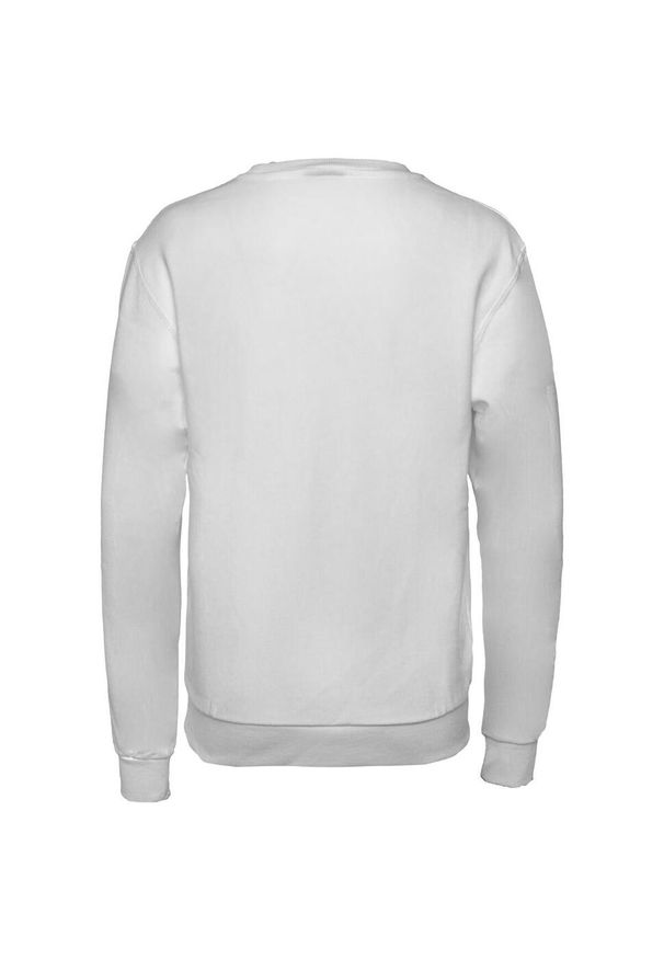 Bluza fitness damska Ellesse Triome Sweatshirt. Kolor: biały. Sport: fitness