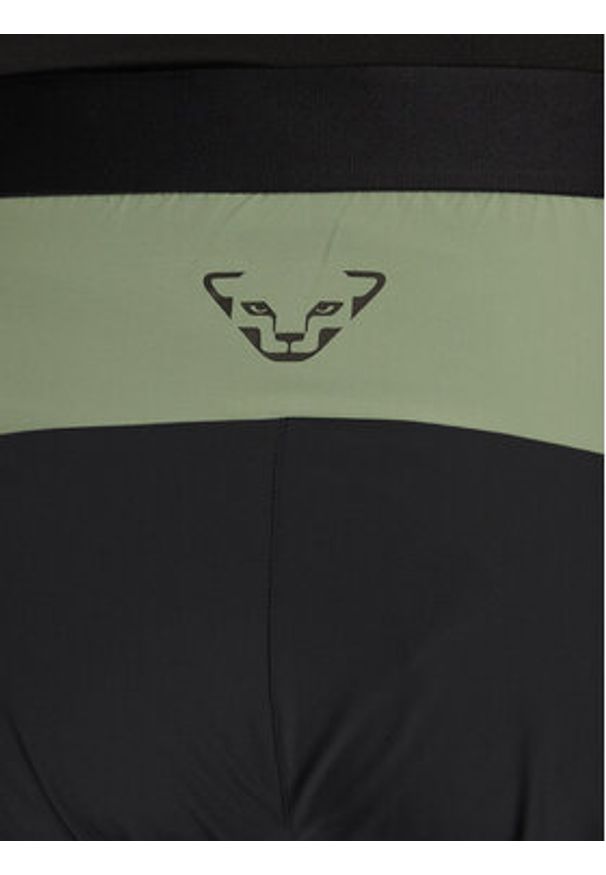 Dynafit Spodnie outdoor Transalper Light Dynastretch 08-0000071320 Zielony Regular Fit. Kolor: zielony. Materiał: syntetyk. Sport: outdoor