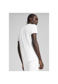 Puma - Męska koszulka EVOSTRIPE PUMA White. Kolor: biały. Długość rękawa: raglanowy rękaw