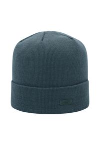 Kapelusz damski CMP. Kolor: zielony. Sezon: zima #1