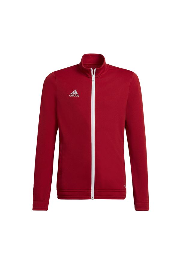 Adidas - Dziecięca bluza dresowa adidas Entrada 22. Kolor: czerwony. Materiał: dresówka. Sport: fitness, piłka nożna