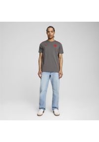 Puma - Męska koszulka Casuals FC St. Pauli PUMA Flat Medium Gray Red. Kolor: czerwony, wielokolorowy, szary