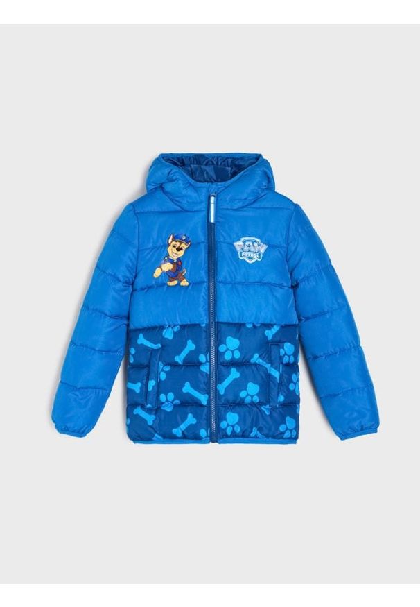 Sinsay - Pikowana kurtka z kapturem PAW Patrol - mid blue. Typ kołnierza: kaptur