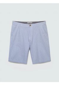 Big-Star - Szorty męskie bawełniane błękitne Gusto 401. Kolor: niebieski. Materiał: bawełna. Wzór: prążki. Styl: klasyczny, wakacyjny #5
