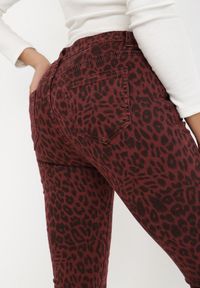 Born2be - Bordowe Spodnie Skinny Dianolea. Kolor: czerwony. Materiał: tkanina. Długość: długie. Wzór: nadruk, aplikacja, gładki #7