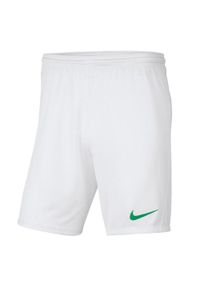 Nike - Męskie Spodenki Park III DriFIT. Kolor: biały, wielokolorowy, zielony. Sport: turystyka piesza #1