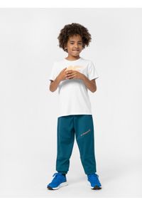 4f - Spodnie sportowe szybkoschnące chłopięce. Kolor: turkusowy. Materiał: materiał, dzianina
