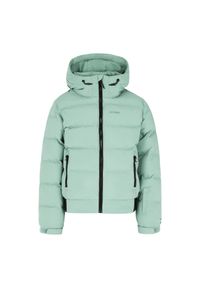 Dziewczęca kurtka narciarska Protest Teliny. Typ kołnierza: kaptur. Kolor: zielony. Materiał: puch. Sezon: zima. Sport: narciarstwo #1