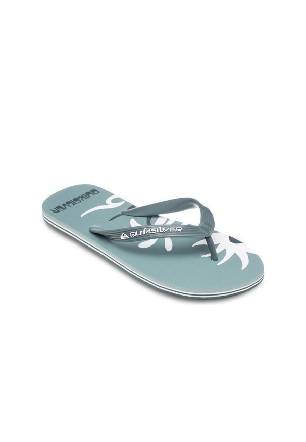 Quiksilver - Klapki dla Mężczyzn MOLOKAI SCREEN. Okazja: na plażę. Kolor: zielony. Materiał: guma, syntetyk, materiał. Styl: sportowy