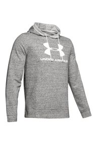 Bluza treningowa męska Under Armour Terry Logo. Kolor: szary. Materiał: poliester, bawełna. Sport: fitness
