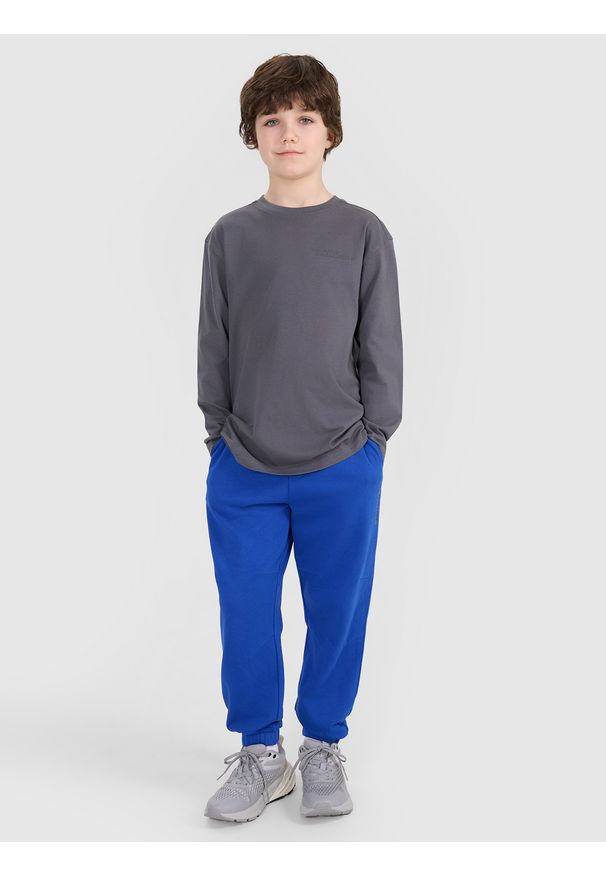 4f - 4F Longsleeve oversize z nadrukiem chłopięcy - granatowy 164 (13-14 lat). Okazja: na co dzień. Kolor: niebieski. Materiał: bawełna, tkanina, jersey. Długość rękawa: długi rękaw. Długość: długie. Wzór: nadruk. Sezon: lato. Styl: klasyczny, elegancki, sportowy, casual