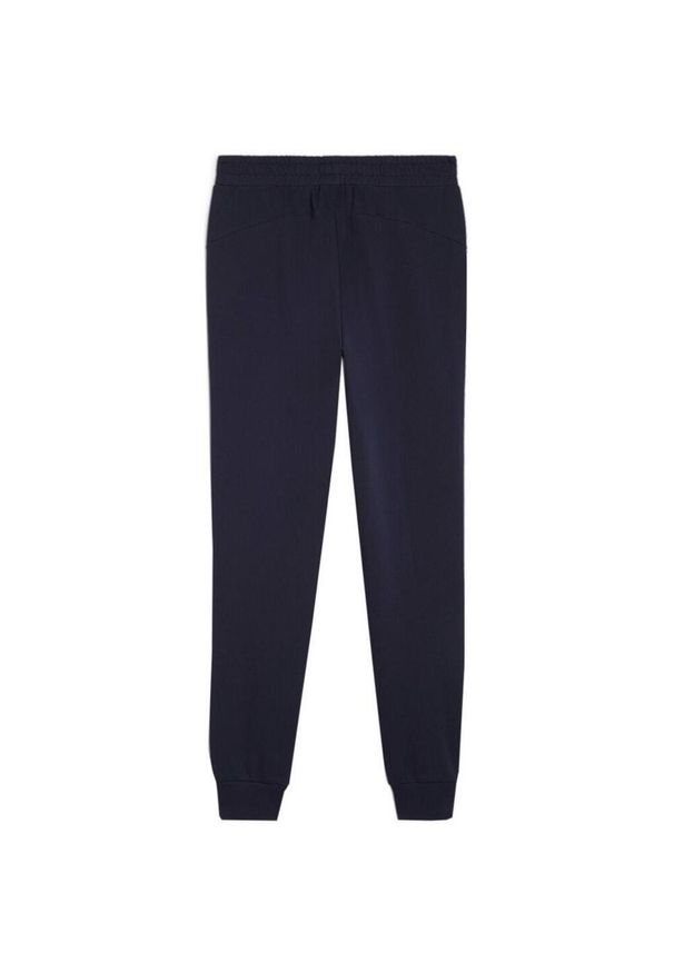 Puma - Męskie Spodnie Do Biegania Team Goal Casuals. Kolor: niebieski. Materiał: dresówka