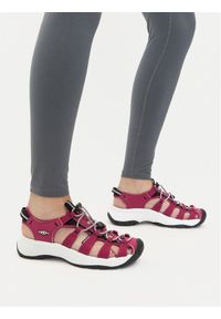 keen - Keen Sandały Astoria West Sandal 1030147 Różowy. Kolor: różowy. Materiał: materiał #1