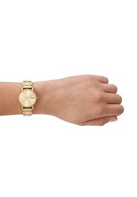 Skagen Zegarek Signatur SKW3124 Złoty. Kolor: złoty