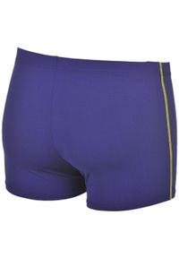 Szorty Kąpielowe Arena M Mask Short. Kolor: niebieski