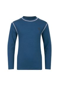 DARE 2B - Bielizna termoaktywna dziecięca komplet Pow II Dare 2b. Kolor: niebieski, szary, wielokolorowy. Materiał: tkanina, poliester. Sezon: zima. Sport: narciarstwo #2