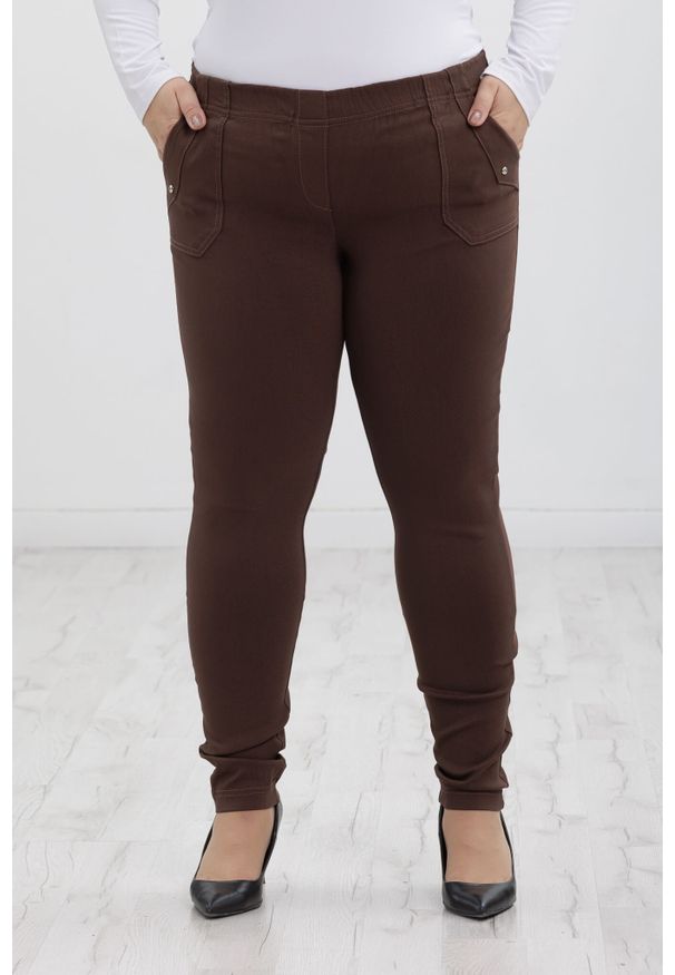 Nasi partnerzy - Klasyczne brązowe spodnie Nita ze zwężoną nogawką PLUS SIZE XXL. Okazja: na co dzień, do pracy, na spacer. Kolekcja: plus size. Kolor: brązowy. Materiał: poliester, elastan, tkanina, materiał, włókno, wiskoza. Długość: krótkie. Styl: klasyczny
