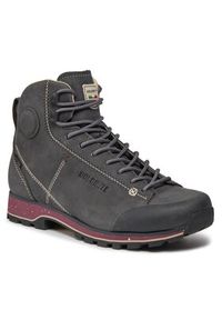 Dolomite Trekkingi Ws 54 High Fg Evo Gtx GORE-TEX 292533 Szary. Kolor: szary