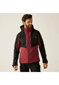 Regatta - Kurtka męska softshell wodoodporny Hewitts. Kolor: czerwony, brązowy, wielokolorowy. Materiał: softshell. Sport: turystyka piesza #1