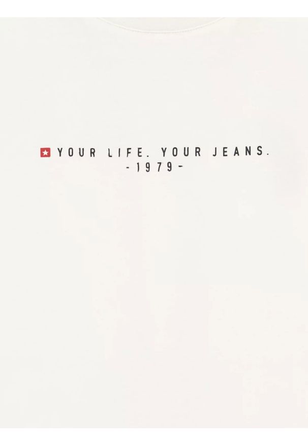 Big-Star - Koszulka męska z kontrastowym wykoŅczeniem biała Bortor 100. Kolor: biały. Materiał: bawełna, jeans. Wzór: nadruk