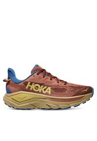 HOKA - Buty do biegania Hoka. Kolor: brązowy