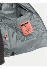 Blauer Kurtka zimowa 24WBLDC02273 Szary Regular Fit. Kolor: szary. Materiał: syntetyk. Sezon: zima #7