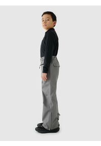 4f - 4F Spodnie narciarskie membrana 8000 chłopięce - szare 122 (6-7 lat). Kolor: szary. Materiał: dzianina, materiał, tkanina. Wzór: gładki. Sezon: lato. Sport: narciarstwo #2