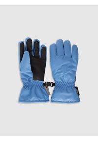 4f - 4F Rękawiczki narciarskie Thinsulate dziecięce - granatowe M. Kolor: niebieski. Materiał: materiał. Technologia: Thinsulate. Wzór: paski. Sezon: zima. Sport: narciarstwo #1