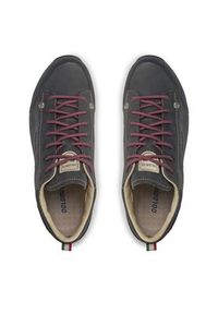 Dolomite Trekkingi W'S 54 Low Fg Evo Gtx GORE-TEX 292534 Szary. Kolor: szary. Materiał: skóra, nubuk
