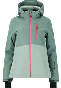 Kurtka narciarska damska Whistler Drizzle W-PRO 10000. Kolor: zielony. Sport: narciarstwo