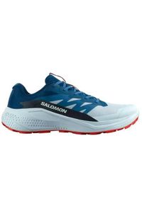 salomon - Buty do biegania męskie Salomon Alphaglide. Kolor: niebieski. Materiał: syntetyk, materiał. Szerokość cholewki: normalna. Sport: bieganie #1
