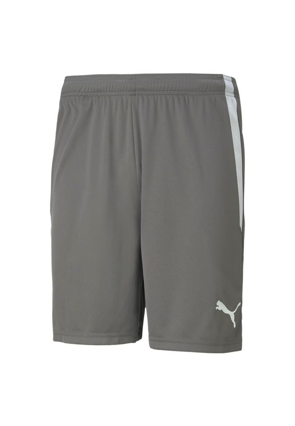 Szorty Puma Team Liga. Kolor: szary, wielokolorowy, biały. Materiał: poliester, syntetyk, materiał. Sport: fitness, piłka nożna