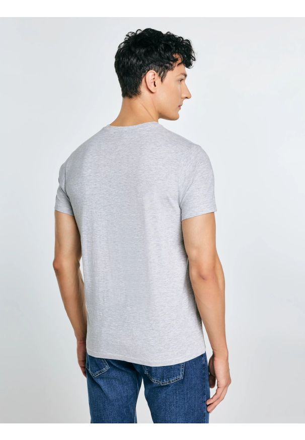 Big-Star - Koszulka męska z nadrukiem szara Keren 902. Okazja: na co dzień. Kolor: szary. Materiał: dzianina, bawełna, jeans. Wzór: nadruk. Styl: casual, klasyczny, sportowy