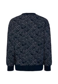 Bluza dziecięca Hummel Carson. Kolor: niebieski. Materiał: materiał. Wzór: nadruk