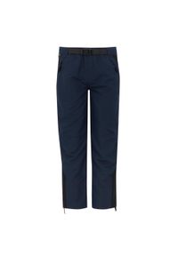 Regatta - Dziecięce spodnie górskie Sorcer. Kolor: niebieski. Materiał: tkanina, elastan. Sezon: lato. Sport: turystyka piesza #1
