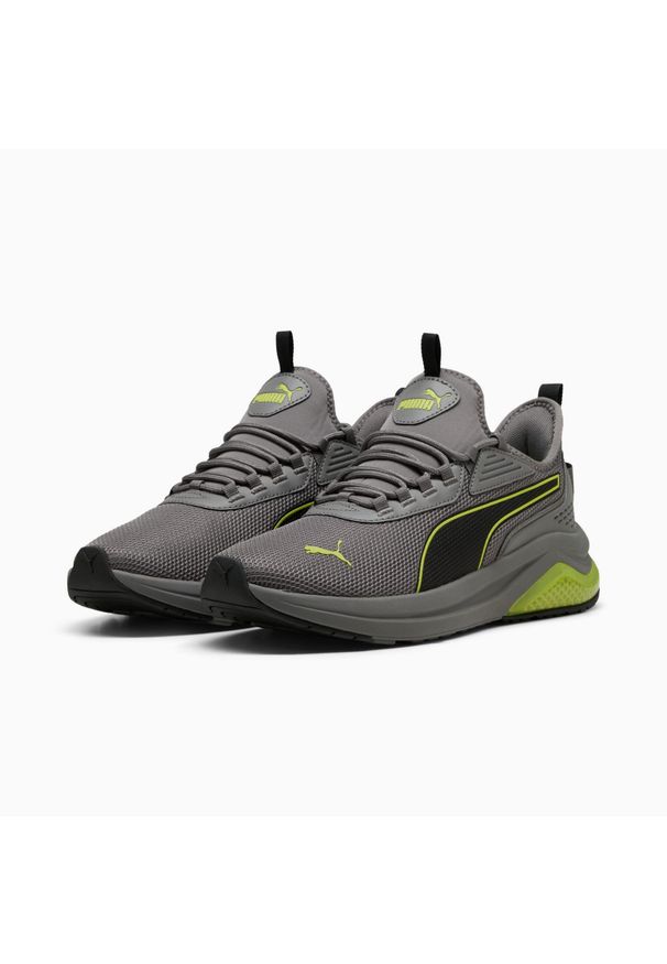 Puma Buty Amplifier 39686738. Kolor: szary