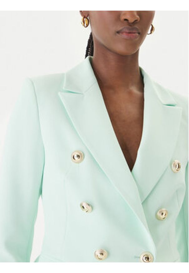 Rinascimento Marynarka CFC0128639003 Zielony Regular Fit. Kolor: zielony. Materiał: syntetyk