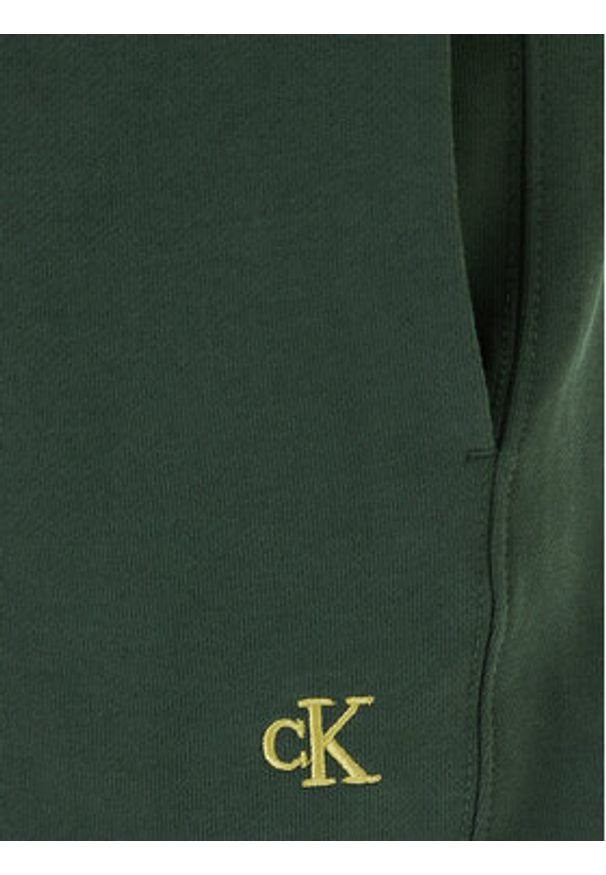 Calvin Klein Jeans Spodnie dresowe LV04RD241G Zielony Regular Fit. Kolor: zielony. Materiał: bawełna