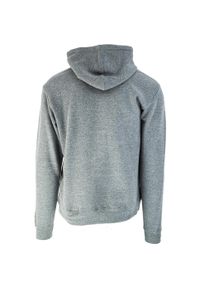 Bluza sportowa męska Joma Montana Hoodie. Typ kołnierza: kaptur. Kolor: szary