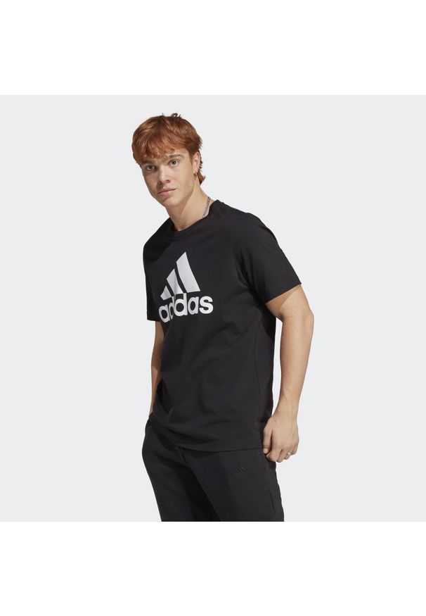 Adidas - Koszulka męska adidas Essentials Single Jersey Big Logo Tee. Kolor: czarny, biały, wielokolorowy. Materiał: jersey