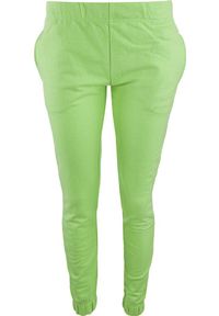 WE THE PEOPLE - Damskie Spodnie Treningowe Diana Jasnozielone 2XL - Komfort i Styl. Kolor: zielony. Materiał: poliester, bawełna