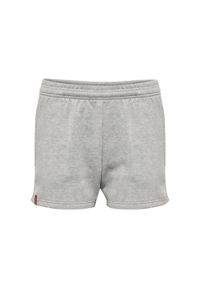Szorty dla dzieci Hummel Red Basic. Okazja: na uczelnię. Kolor: szary. Materiał: materiał. Styl: sportowy. Sport: joga i pilates #1