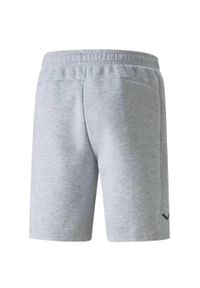 Puma - Shorty Męskie Logo. Kolor: szary. Sport: turystyka piesza