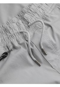 Ombre Clothing - Spodnie męskie materiałowe JOGGERY z ozdobnym sznurkiem - jasnoszare V2 P908 - XXL. Kolor: szary. Materiał: materiał #3