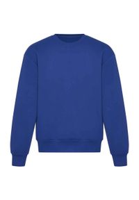AWDIS - Bluza Dla Dorosłych Unisex Signature Heavyweight. Kolor: niebieski