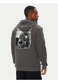 DC Shoes Bluza ADYSF03145 Szary Regular Fit. Kolor: szary. Materiał: bawełna