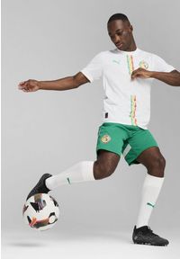 Puma - Męskie szorty Senegal 2025 PUMA Sport Green White. Kolor: biały, wielokolorowy, zielony. Wzór: aplikacja