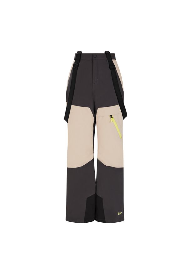 Spodnie narciarskie dla dzieci Protest Raider. Kolor: szary. Sezon: zima. Sport: narciarstwo